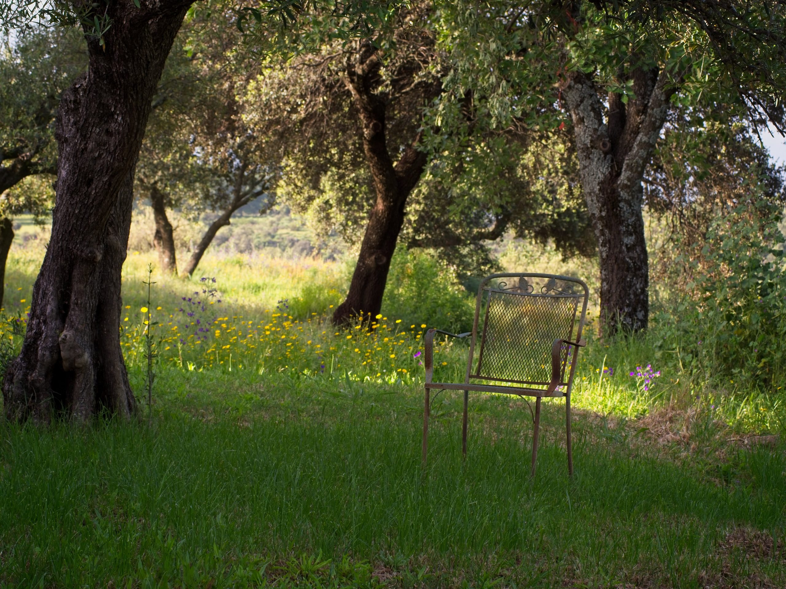 reserva en hacienda neri
